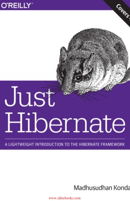 Just Hibernate