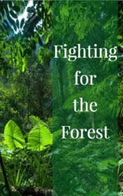 Fighting for the Forest