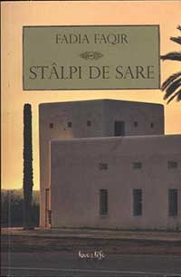 Stalpi de sare